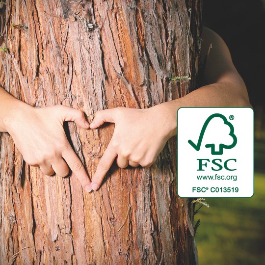 FSC logo drevo uporaba kopija