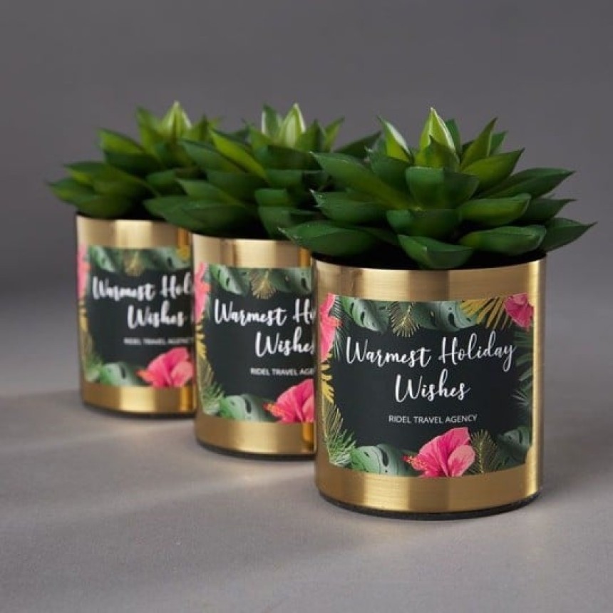 za ljubitelje roz Na sliki so tri rože v zlati kovinski posodici. Na njih so nalepljene črno zelene etikete z roza rožami in belim napisom.