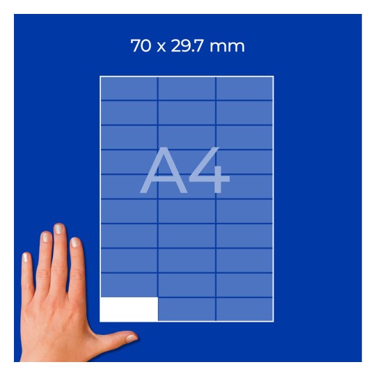 Roka poleg modrega A4 mrežnega lista z oznako 70 × 29,7 mm?