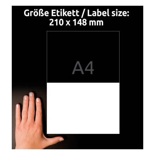 Primerjava velikosti z roko, artikel: 3655-10, en list etiket, domača pisarna, manjše pakiranje, format: 210 x 148 mm, barva: bela?