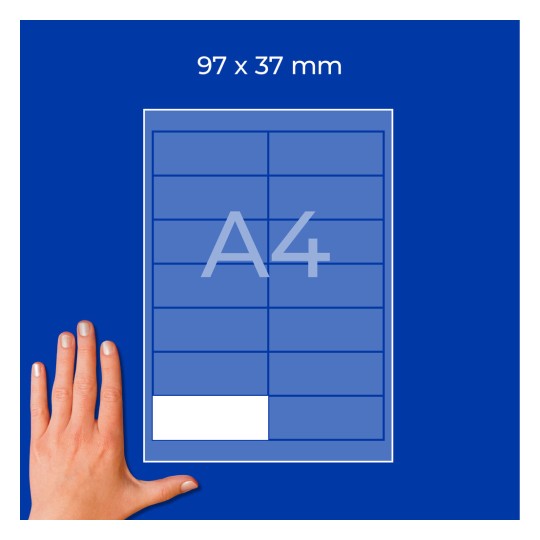 Roka poleg diagrama lista A4 z mrežo in oznako »97 × 37 mm«?