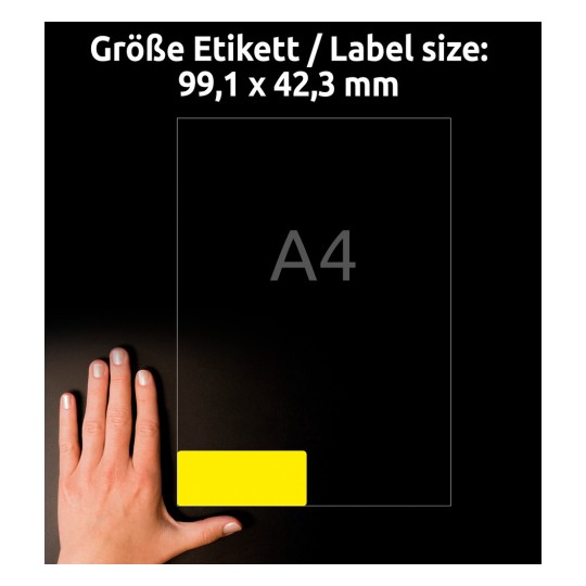 Slika prikazuje velikost etikete 99,1 x 42,3 mm poleg velikosti papirja A4, pri čemer roka prikazuje namestitev etikete.