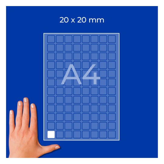 Roka poleg mrežnega lista formata A4 z oznako 20 × 20 mm z majhnimi kvadratnimi celicami?