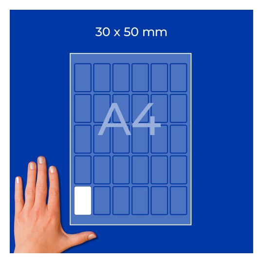 Roka poleg diagrama lista A4 z oznako 30 × 50 mm z majhnimi pravokotnimi celicami?