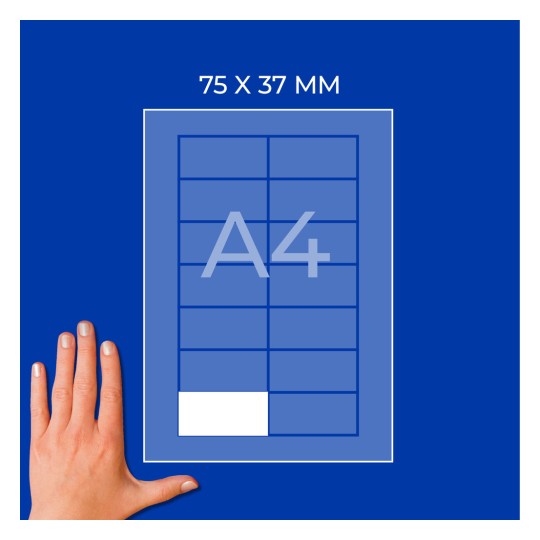 Diagram na listu A4 z nalepko 75 × 37 mm in roko spodaj levo?