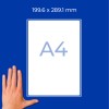 Roka ob beli maketi papirja formata A4 na modrem ozadju z besedilom dimenzij?